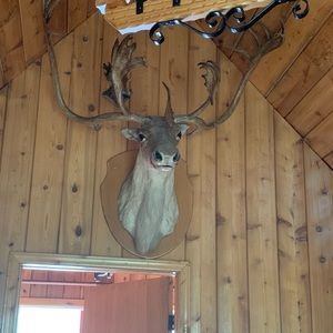 Meet your Posher, Catherine